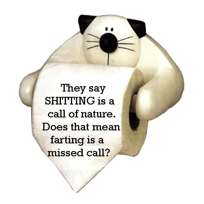 They Say Shitting Is A Call Of Nature. Does This Mean Farting Is A Missed Call?