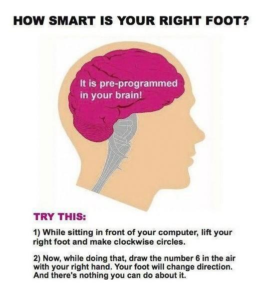 How smart is your right foot try this