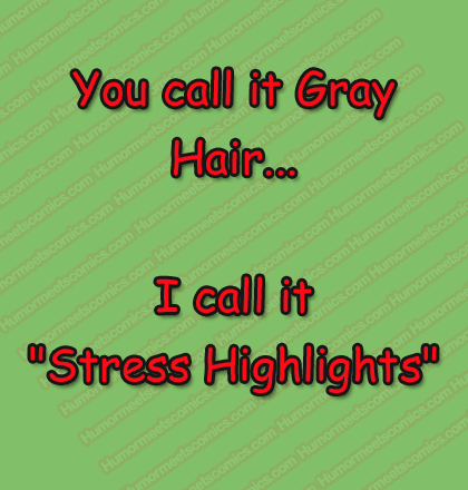 You call it Gray Hair... I call it "Stress Highlights"