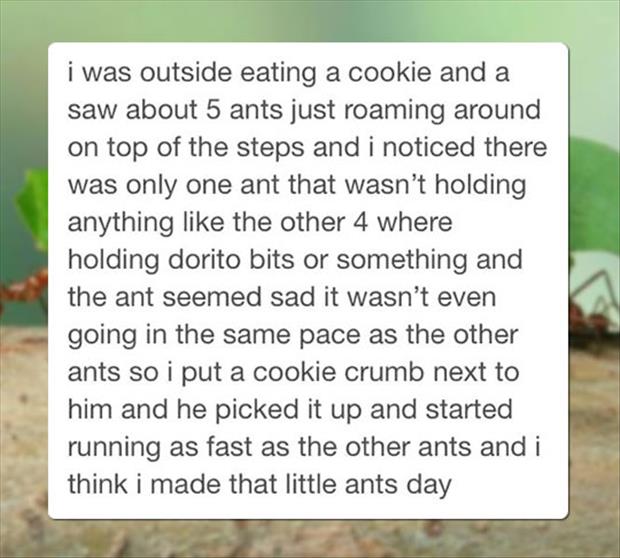 i made ants day