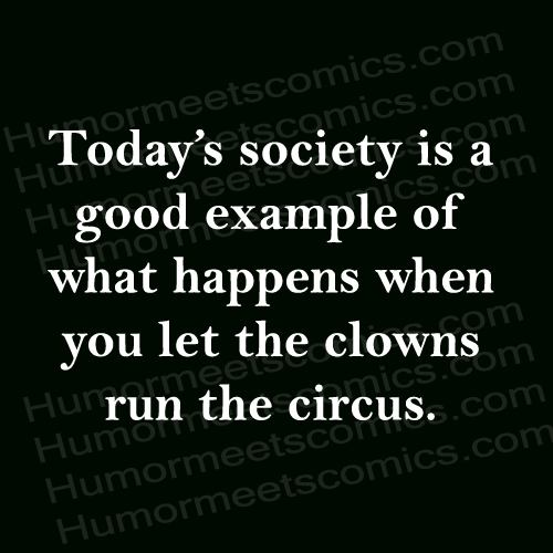 clowns run the circus
