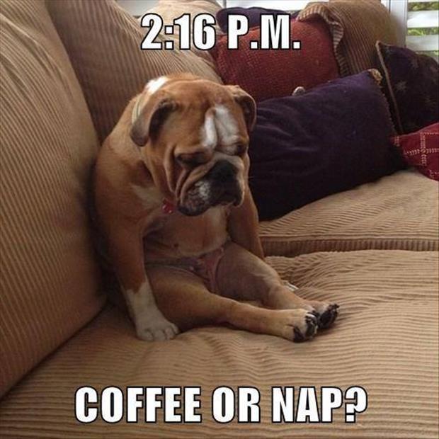 coffee-or-nap