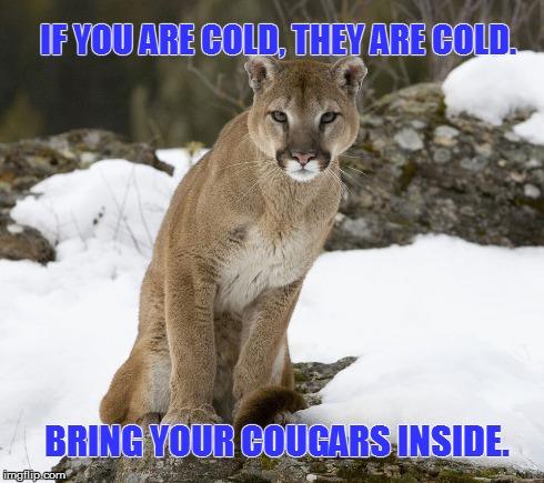 bring caugar inside