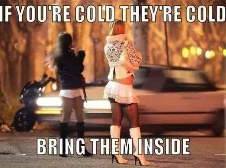 bring them inside