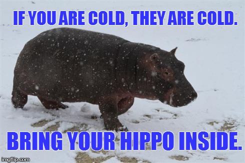 bring your hippo inside