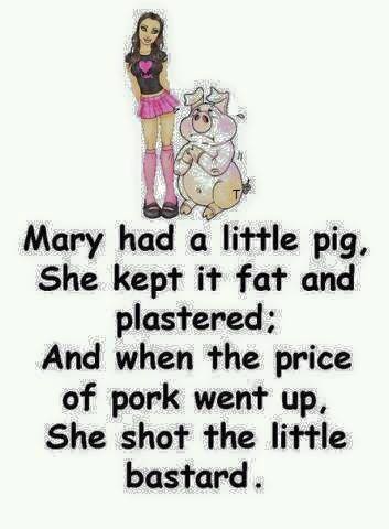 Mary had a little pig