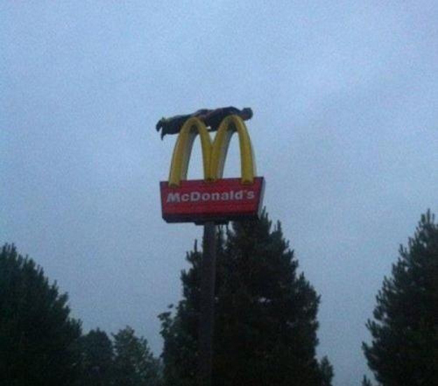 This dude planking on a McDonald’s sign.