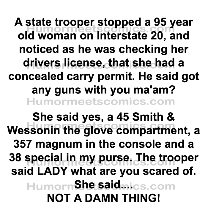 A state trooper stopped a 95 year old woman on interstate what she said to him is totally hilarious