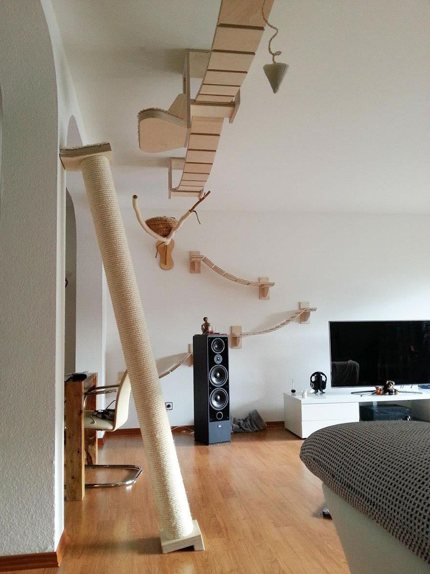 overhead-cat-playground-room-Goldtatze-TV