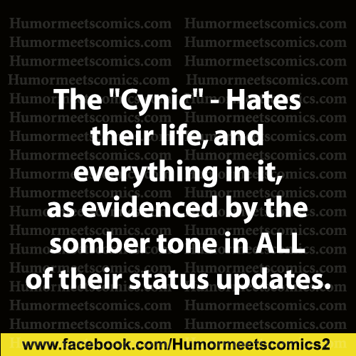 The cynic