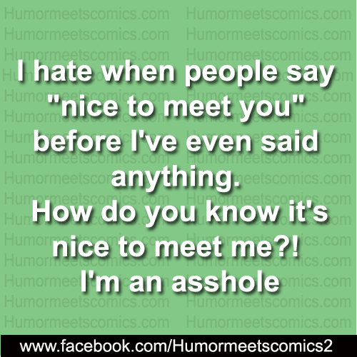 I hate when people say nice to meet you