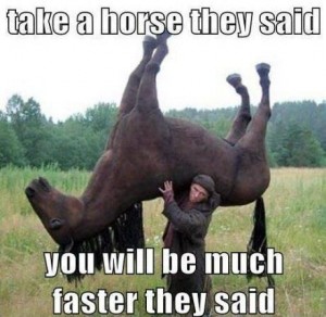 Take a horse they said. You will be much faster they said