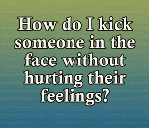 How do I kick someone in the face without hurting their feelings?