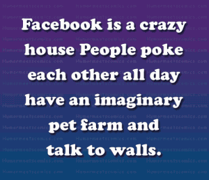 Facebook is a crazy house People poke each other all day have an imaginary pet farm and talk to walls.