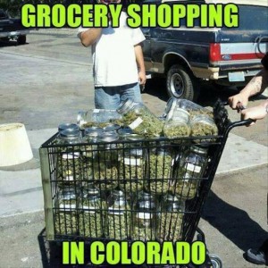 Grocery shopping in colorado