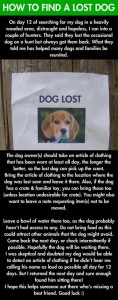 This method has helped many dogs and families be united