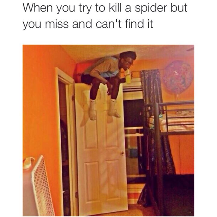 When you try to kill spider and you miss it