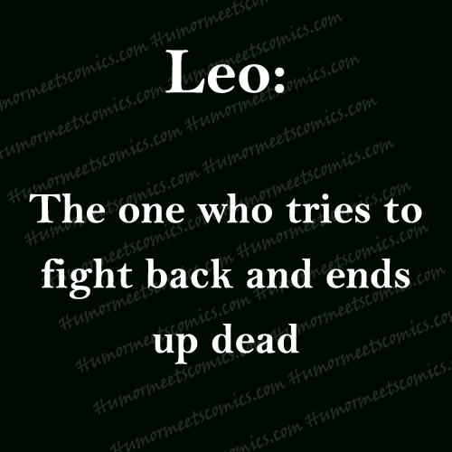 Leo-The-one-who-tries-to-fi