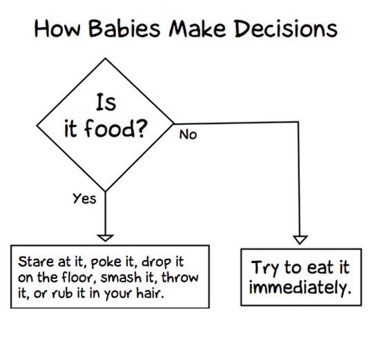 This is how babies make decisions