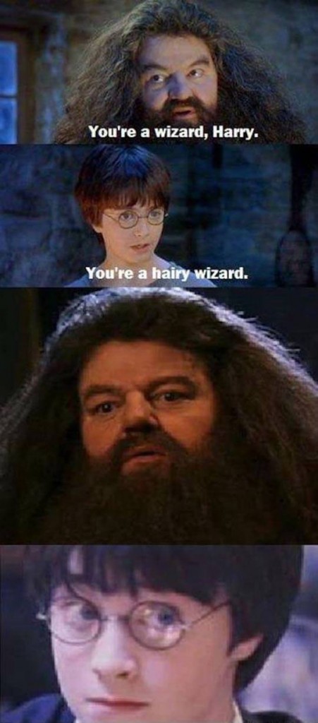 you are a wizard