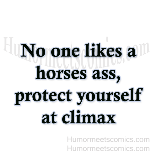No-one-likes-a-horses-ass,-