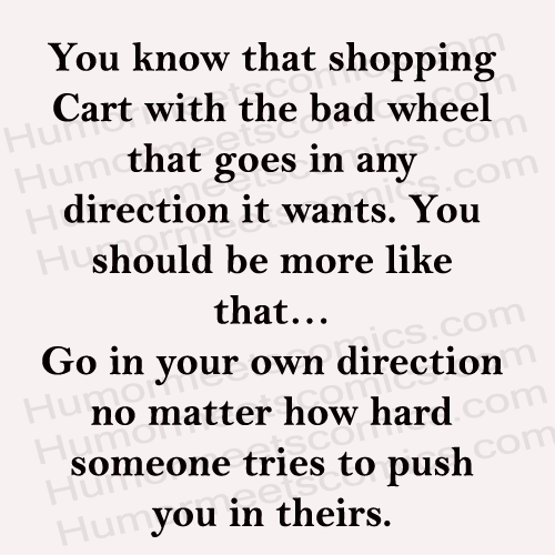 You-know-that-shopping-Cart