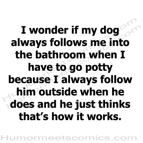 I-wonder-if-my-dog-always-f