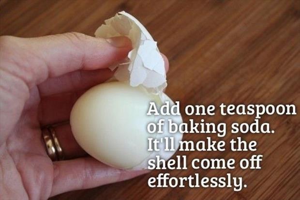 eggs shell life hack
