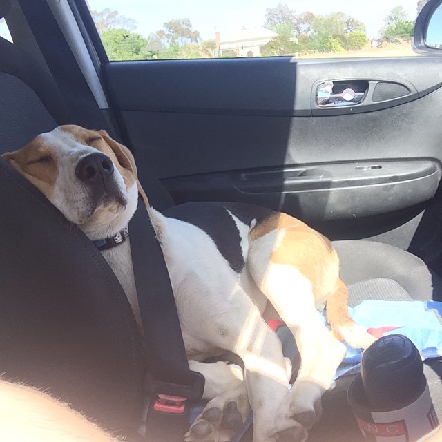 I’ll take the first nap, just wake me up when you want me to drive.
