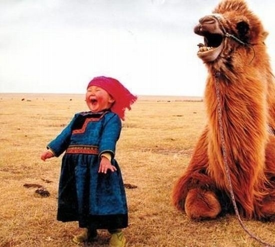 A good LOL with your camel bestie