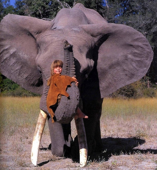 A hug from an elephant