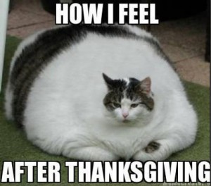 Turkey, gravy & pumpkin pie? These Thanksgiving memes are so relatable you'd say yes to all