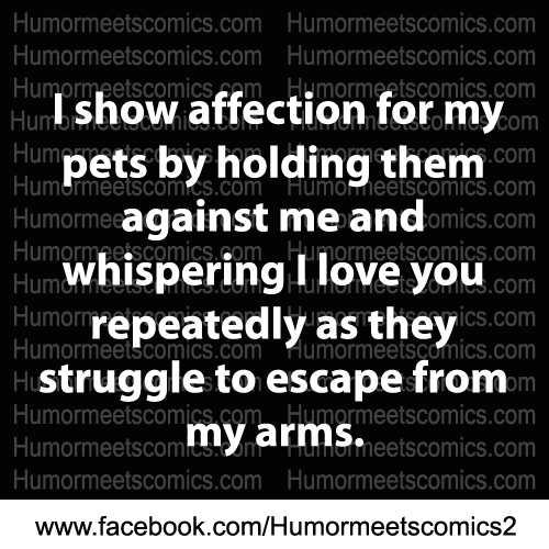 I show affection for my pets