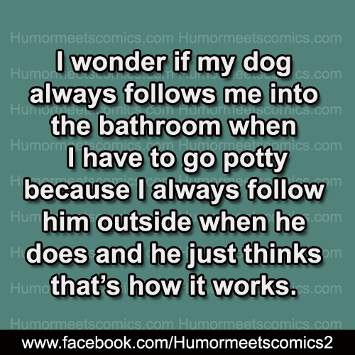 I wonder if my dog always follow me into the bathroom