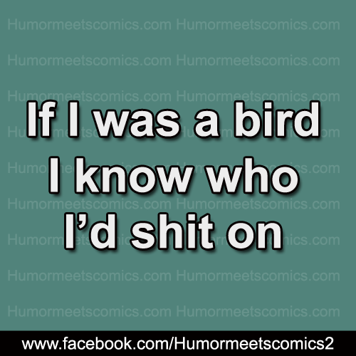 If I was a bird i know who i'd shit on