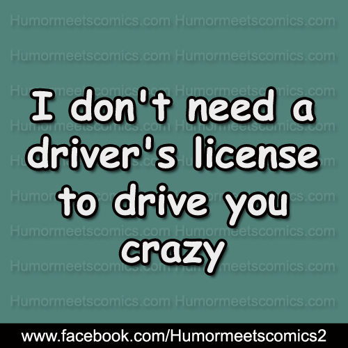 I-don't-need-a-driver's-license-to-drive-you-crazy