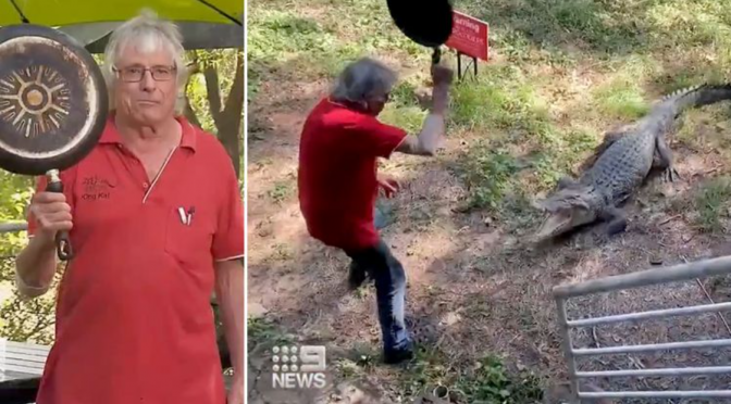 Video of an Australian pub owner fighting a charging crocodile off with a frying pan goes viral